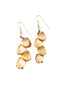 Shiny drop shaped earrings Liron